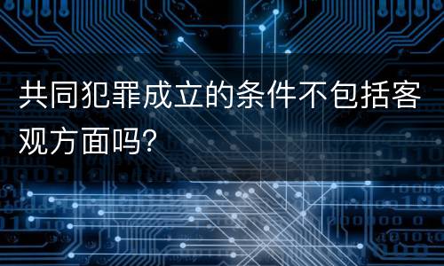 共同犯罪成立的条件不包括客观方面吗？