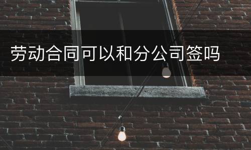 劳动合同可以和分公司签吗
