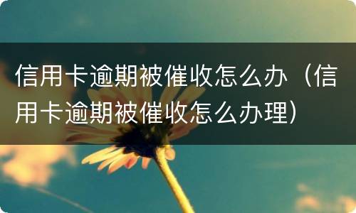 信用卡逾期被催收怎么办（信用卡逾期被催收怎么办理）