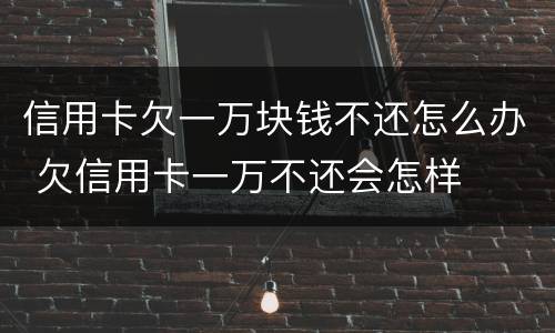 信用卡欠一万块钱不还怎么办 欠信用卡一万不还会怎样