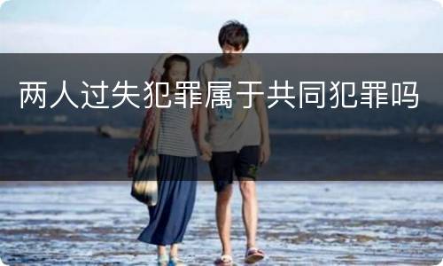 两人过失犯罪属于共同犯罪吗