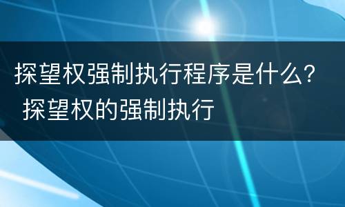 探望权强制执行程序是什么？ 探望权的强制执行