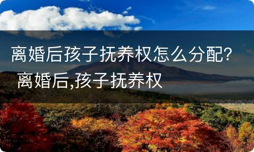 离婚后孩子抚养权怎么分配？ 离婚后,孩子抚养权