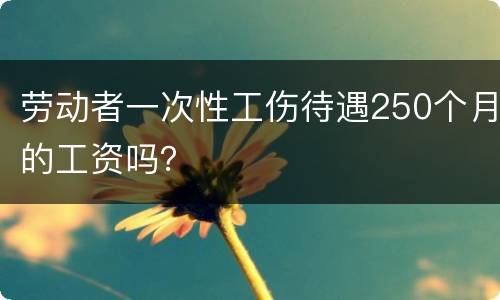 劳动者一次性工伤待遇250个月的工资吗？
