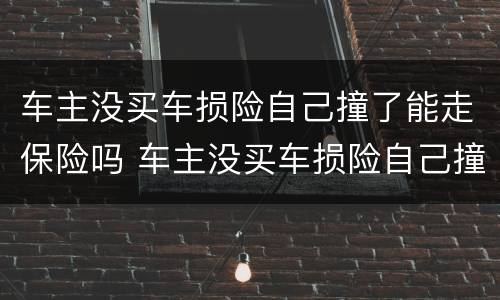 车主没买车损险自己撞了能走保险吗 车主没买车损险自己撞了能走保险吗