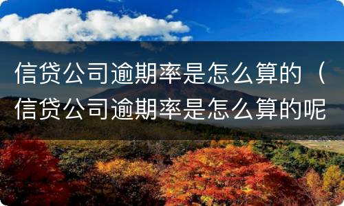 信贷公司逾期率是怎么算的（信贷公司逾期率是怎么算的呢）
