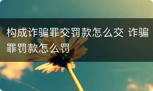 构成诈骗罪交罚款怎么交 诈骗罪罚款怎么罚