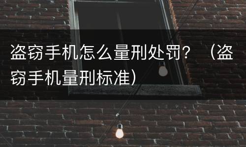 盗窃手机怎么量刑处罚？（盗窃手机量刑标准）