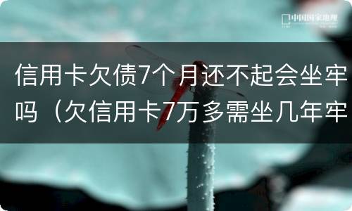 信用卡欠债7个月还不起会坐牢吗（欠信用卡7万多需坐几年牢）