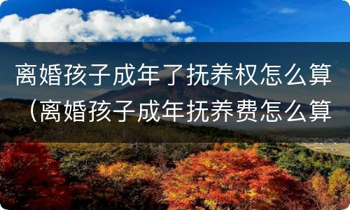 离婚孩子成年了抚养权怎么算（离婚孩子成年抚养费怎么算）