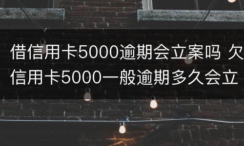 借信用卡5000逾期会立案吗 欠信用卡5000一般逾期多久会立案
