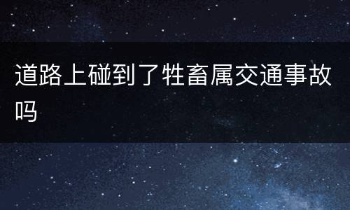 道路上碰到了牲畜属交通事故吗