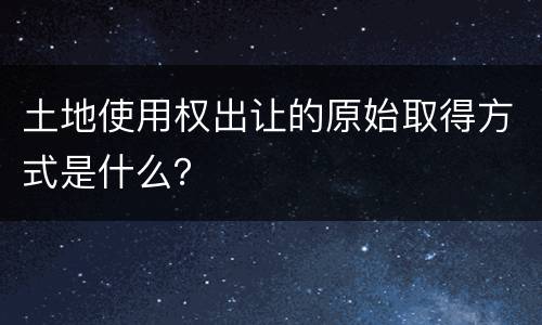 土地使用权出让的原始取得方式是什么？