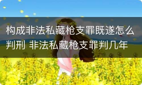 构成非法私藏枪支罪既遂怎么判刑 非法私藏枪支罪判几年