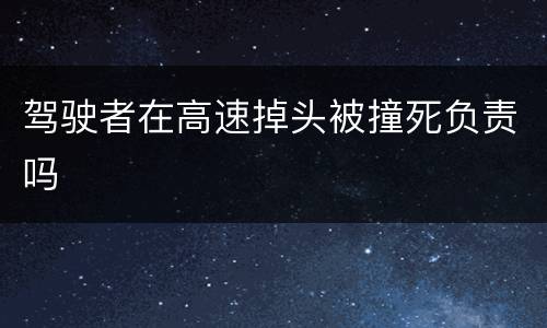 驾驶者在高速掉头被撞死负责吗