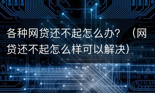 各种网贷还不起怎么办？（网贷还不起怎么样可以解决）