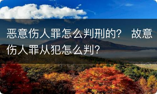 恶意伤人罪怎么判刑的？ 故意伤人罪从犯怎么判?