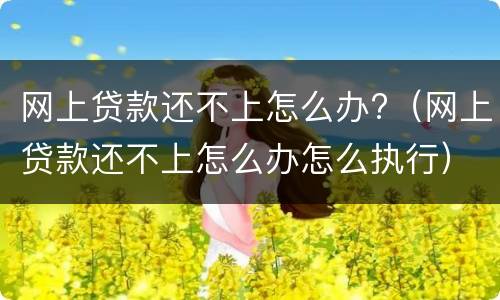 网上贷款还不上怎么办?（网上贷款还不上怎么办怎么执行）