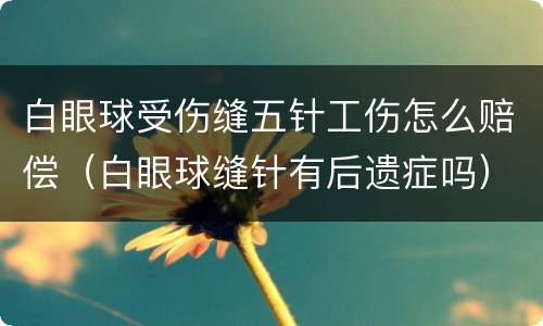 白眼球受伤缝五针工伤怎么赔偿（白眼球缝针有后遗症吗）