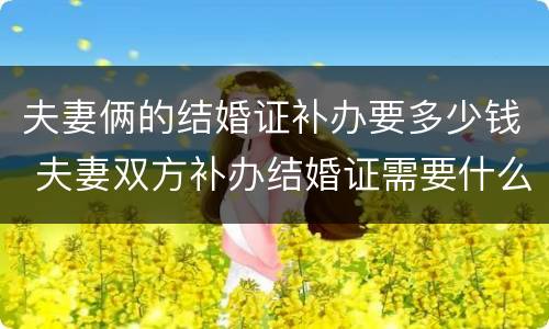夫妻俩的结婚证补办要多少钱 夫妻双方补办结婚证需要什么手续