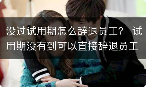 没过试用期怎么辞退员工？ 试用期没有到可以直接辞退员工吗