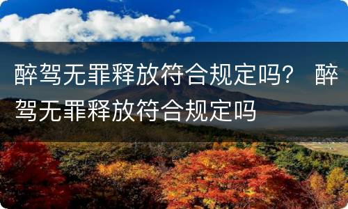醉驾无罪释放符合规定吗？ 醉驾无罪释放符合规定吗