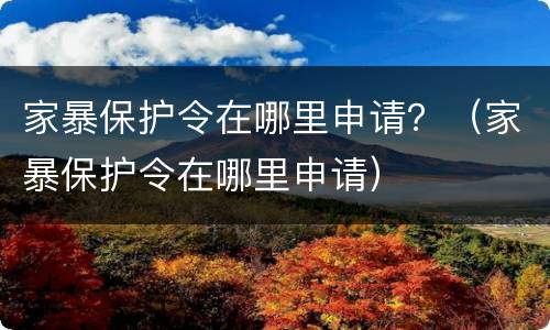 家暴保护令在哪里申请？（家暴保护令在哪里申请）