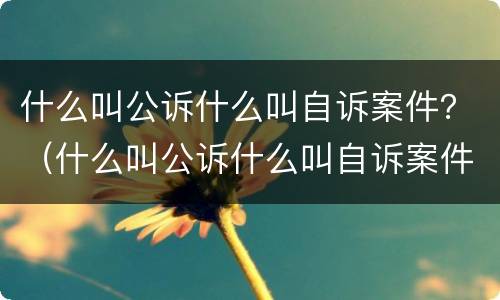 什么叫公诉什么叫自诉案件？（什么叫公诉什么叫自诉案件呢）