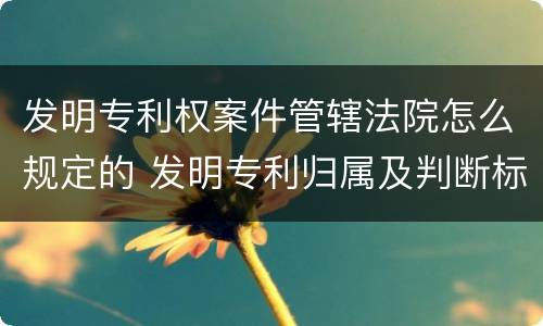 发明专利权案件管辖法院怎么规定的 发明专利归属及判断标准