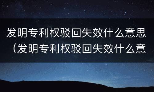 发明专利权驳回失效什么意思（发明专利权驳回失效什么意思啊）