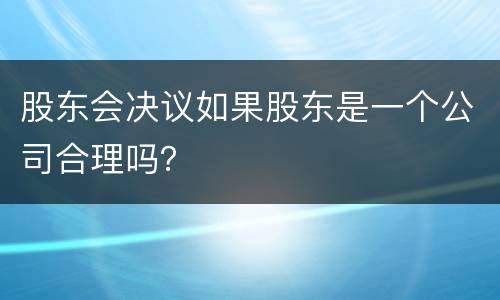股东会决议如果股东是一个公司合理吗？