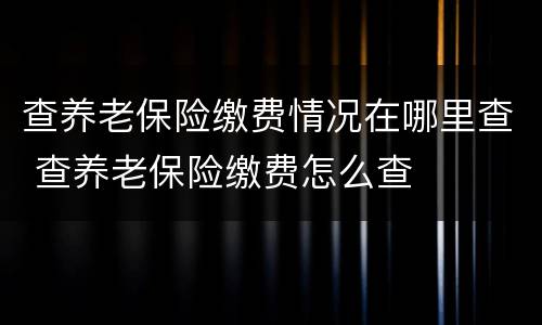 查养老保险缴费情况在哪里查 查养老保险缴费怎么查