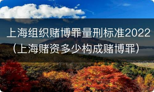 上海组织赌博罪量刑标准2022（上海赌资多少构成赌博罪）