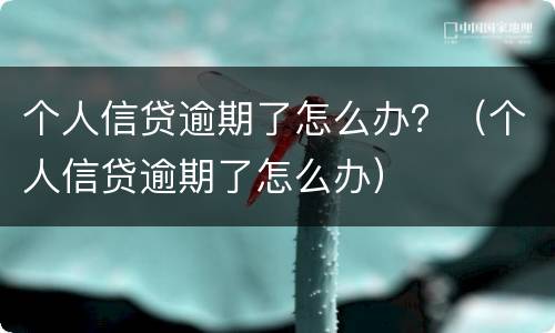 个人信贷逾期了怎么办？（个人信贷逾期了怎么办）