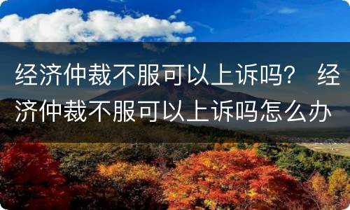 经济仲裁不服可以上诉吗？ 经济仲裁不服可以上诉吗怎么办