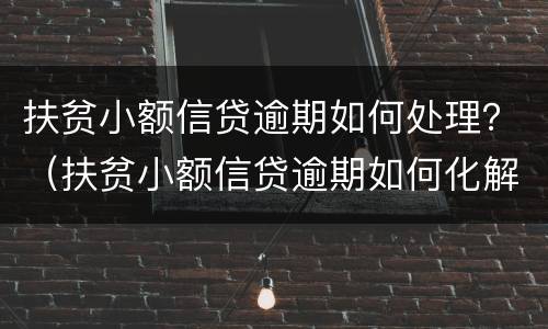 扶贫小额信贷逾期如何处理？（扶贫小额信贷逾期如何化解）