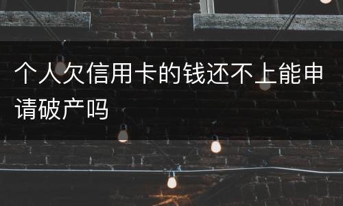 个人欠信用卡的钱还不上能申请破产吗