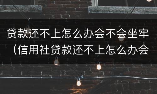 贷款还不上怎么办会不会坐牢（信用社贷款还不上怎么办会不会坐牢）