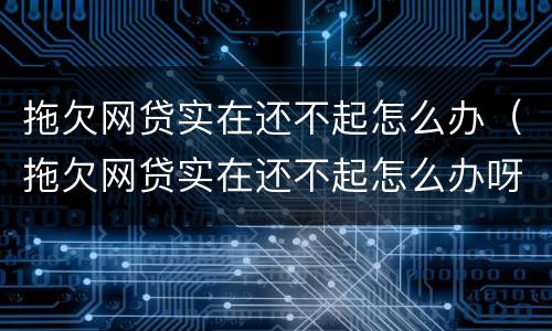 拖欠网贷实在还不起怎么办（拖欠网贷实在还不起怎么办呀）