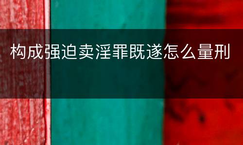 构成强迫卖淫罪既遂怎么量刑