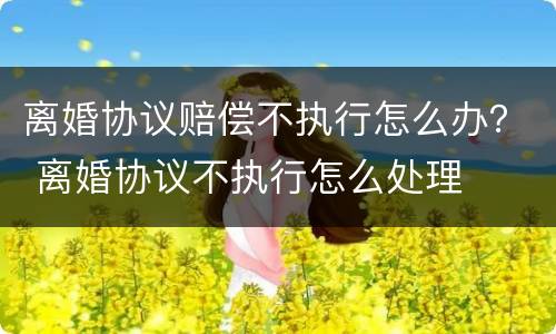 离婚协议赔偿不执行怎么办？ 离婚协议不执行怎么处理