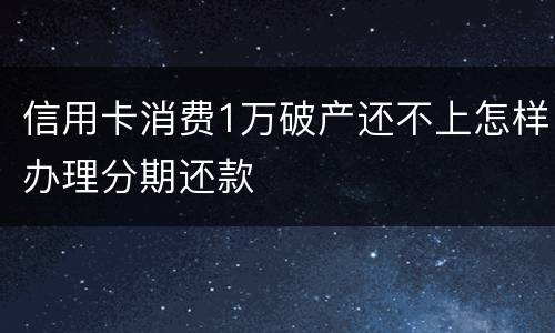 信用卡消费1万破产还不上怎样办理分期还款