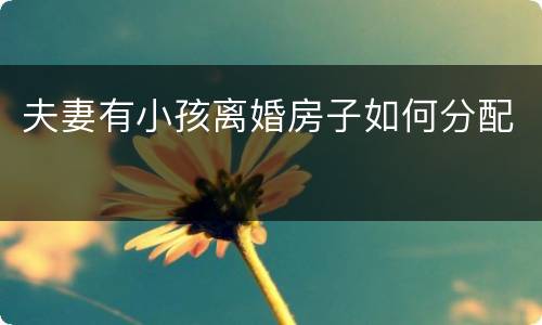 夫妻有小孩离婚房子如何分配