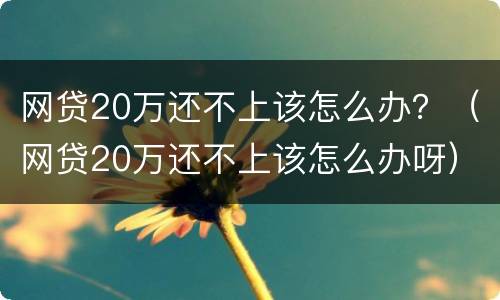 网贷20万还不上该怎么办？（网贷20万还不上该怎么办呀）