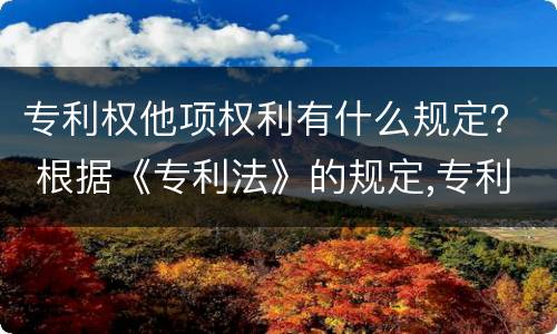 专利权他项权利有什么规定？ 根据《专利法》的规定,专利权人拥有哪些权利