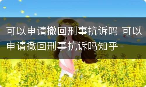 可以申请撤回刑事抗诉吗 可以申请撤回刑事抗诉吗知乎