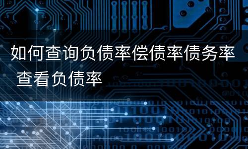 如何查询负债率偿债率债务率 查看负债率