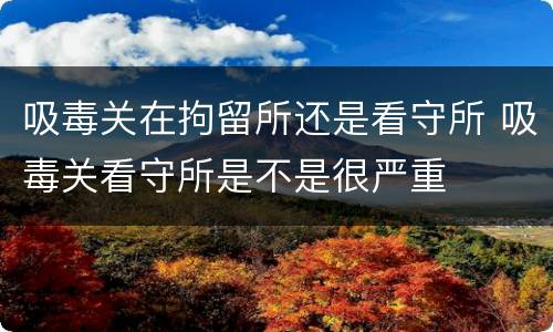 吸毒关在拘留所还是看守所 吸毒关看守所是不是很严重