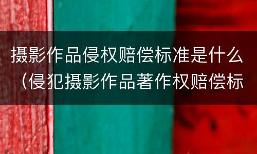 摄影作品侵权赔偿标准是什么（侵犯摄影作品著作权赔偿标准）