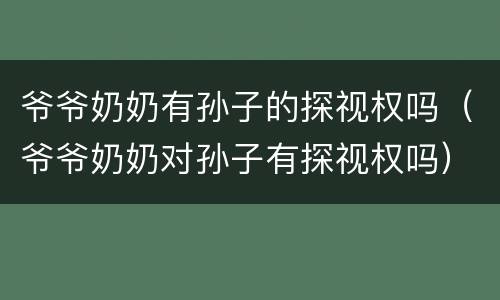 爷爷奶奶有孙子的探视权吗（爷爷奶奶对孙子有探视权吗）